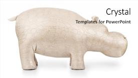  Presentation with monarch butterfly isolated on white - PPT theme consisting of cartoon zoo - toy hippopotamus isolated on white background and a white colored foreground