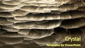  Presentation with wood texture - Cool new PPT layouts with carved wood waves texture background backdrop and a tawny brown colored foreground