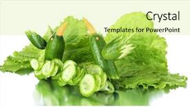  Presentation with hummingbirds - Slide set consisting of carving vegetable pattern of hummingbirds close up background and a soft green colored foreground