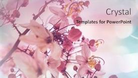  Presentation with cassia - Cool new theme with cassia-fistula-tree-blossom backdrop and a lemonade colored foreground