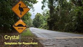  Presentation with animals nature - Presentation design with cassowari sign endangered species needs background and a tawny brown colored foreground