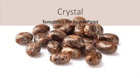  Presentation with seeds - PPT theme featuring castor-seeds-on-white-background background and a coral colored foreground