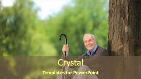  Presentation with cane - Audience pleasing PPT layouts consisting of casual senior man holding a cane and sitting on grass in a park and looking at the camera shot with tilt and shift lens backdrop and a tawny brown colored foreground