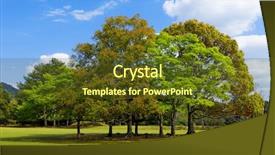  Presentation with green earth - Slide deck featuring casuarina-tree-and-green-earth background and a tawny brown colored foreground