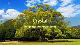  Presentation with green earth - PPT layouts enhanced with casuarina-tree-and-green-earth background and a tawny brown colored foreground