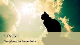  Presentation with deep - Amazing presentation having cat and deep sky element backdrop and a blonde colored foreground