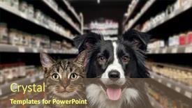  Presentation with dog food - Theme enhanced with cat-and-dog-looking background and a violet colored foreground