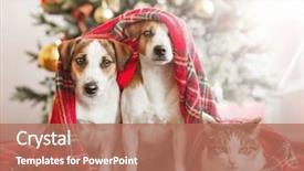  Presentation with dog christmas - Slide deck featuring cat and dog near christmas background and a coral colored foreground