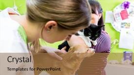  Presentation with grooming pet - Slides enhanced with cat and dog together background and a coral colored foreground