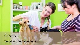  Presentation with cat dog - Slides enhanced with cat and dog together background and a coral colored foreground