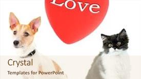  Presentation with dog cat - Presentation theme with cat and dog with red background and a lemonade colored foreground