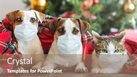  Presentation with pets - Colorful slide deck enhanced with cat-and-dogs-under backdrop and a coral colored foreground