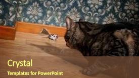  Presentation with old fashioned - Beautiful presentation theme featuring cat and mouse backdrop and a tawny brown colored foreground