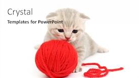  Presentation with wool - PPT theme having cat and red wool ball background and a white colored foreground