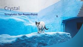 Presentation with city street - Presentation theme with cat-at-chefchaouen-blue-city background and a sky blue colored foreground