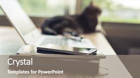  Presentation with free cat - PPT theme featuring cat concept of work background and a gray colored foreground