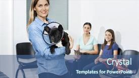  Presentation with clinic - Beautiful PPT theme featuring cat e dog - woman carrying bulldog with cone backdrop and a ocean colored foreground