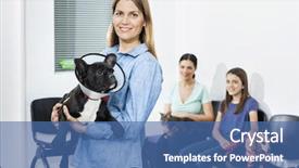  Presentation with clinic - Colorful presentation design enhanced with cat e dog - woman holding bulldog with cone backdrop and a ocean colored foreground