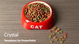  Presentation with cat - Presentation enhanced with cat food in bowl background and a coral colored foreground