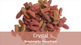  Presentation with food fish - Colorful presentation theme enhanced with cat food in fish shape isolated white backdrop and a coral colored foreground