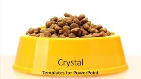  Presentation with food white - Beautiful presentation theme featuring cat food in yellow bowl backdrop and a yellow colored foreground