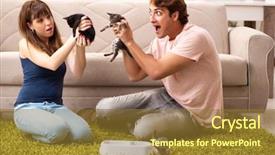  Presentation with free cat - Presentation theme featuring cat free - young family with kitten playing background and a tawny brown colored foreground