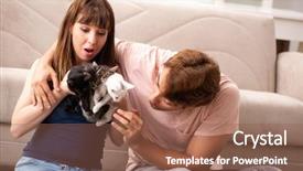  Presentation with free cat - PPT theme consisting of cat free - young family with kitten playing background and a  colored foreground
