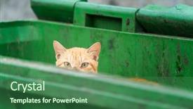  Presentation with goodbye cat - Beautiful slide deck featuring cat hiding in recycler bin backdrop and a ocean colored foreground