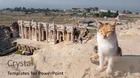  Presentation with amphitheater - Presentation theme with cat-historian-visiting-ruins background and a coral colored foreground