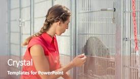  Presentation with animal shelter - Amazing presentation theme having zookeeper playing with cat backdrop and a  colored foreground