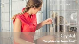  Presentation with animal shelter - Amazing slide set having cat in animal shelter backdrop and a coral colored foreground