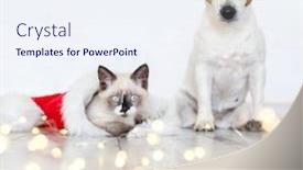  Presentation with dog christmas - Slide set with cat-in-christmas-hat background and a sky blue colored foreground