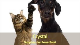  Presentation with dog cat - PPT layouts enhanced with autumn background with fruits and leaves christmas themed background background and a tawny brown colored foreground