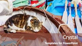  Presentation with fishing boat - Amazing presentation design having cat sleeping in the boat backdrop and a  colored foreground