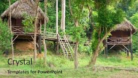  Presentation with crocodile - Amazing PPT layouts having cat tien national park vietnam backdrop and a mint green colored foreground