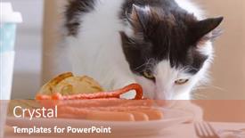  Presentation with food - Presentation enhanced with cat-tries-to-steal-food background and a coral colored foreground