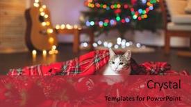  Presentation with christmas tree - Presentation having cat under a christmas tree background and a red colored foreground