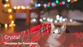  Presentation with pet - Amazing presentation theme having newcats - cat under a christmas tree backdrop and a tawny brown colored foreground