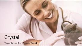  Presentation with hello kitty cute little kitten - Presentation theme enhanced with cat vet - happy female veterinarian examining kitten background and a lemonade colored foreground