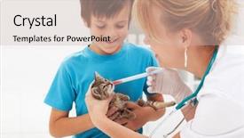  Presentation with medication - PPT layouts with cat vet - little kitten at the veterinary background and a soft green colored foreground