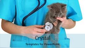  Presentation with brown sugar isolated on white - Slide set enhanced with cat vet - veterinarian examining kittens isolated background and a  colored foreground