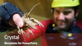  Presentation with canyoning - Slide deck consisting of catch falling - canyoning in gorgonchon canyon guara background and a tawny brown colored foreground