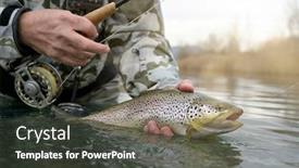  Presentation with trout - Slide set consisting of catch-of-a-beautiful-brown background and a dark gray colored foreground