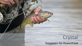  Presentation with trout - Amazing slide deck having catch-of-a-beautiful-brown backdrop and a light gray colored foreground