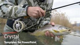  Presentation with trout - Cool new slide deck with catch-of-a-beautiful-brown backdrop and a dark gray colored foreground