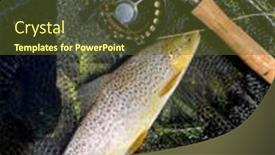  Presentation with trout - Slide deck enhanced with catch-of-a-beautiful-brown background and a tawny brown colored foreground