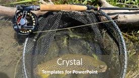  Presentation with trout - Slide set consisting of catch-of-a-beautiful-brown background and a violet colored foreground