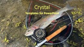  Presentation with trout - Presentation with catch-of-a-beautiful-rainbow background and a tawny brown colored foreground