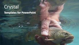  Presentation with trout - Presentation theme with catch-of-a-brown-trout background and a tawny brown colored foreground