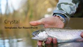  Presentation with trout - Theme enhanced with catch-of-a-rainbow-trout background and a coral colored foreground